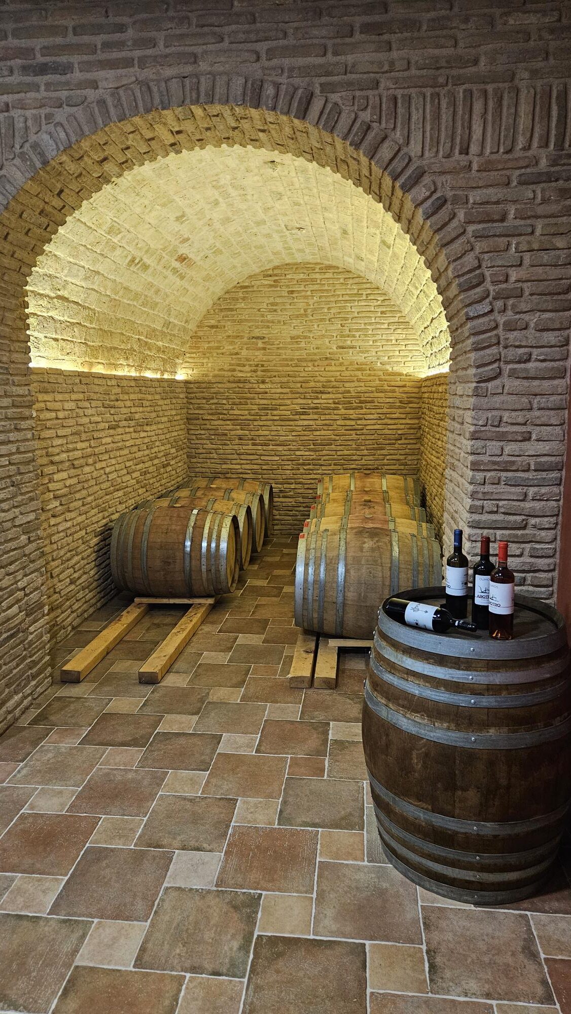 Read more about the article Επίσκεψη στο Οινοποιείο Οψιμος, Νεμέα